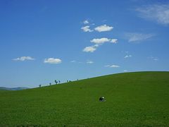 -木兰围场