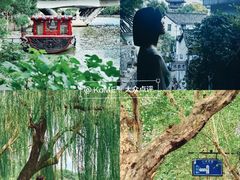 -杭州奥体中心-体育场