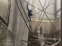 -石排湾郊野公园