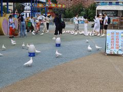 -烟台海昌鲸鲨海洋公园