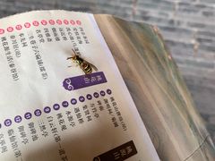-常德桃花源景区