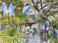 -剑河仰阿莎温泉小镇