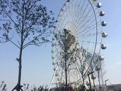 -琴岛之星摩天轮