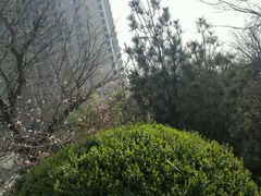 -荟景阁葡国餐厅