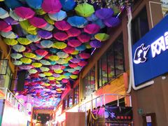 -东晓胜汇里(南洲北路店)