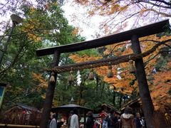 -野宫神社