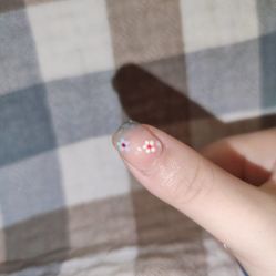 -柚子•猫美睫美甲