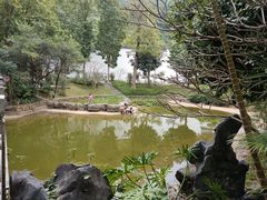 -深圳国际园林花卉博览园