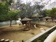 -成都动物园