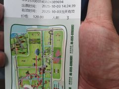 -黄海国家森林公园