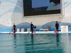 -北戴河圣蓝海洋公园