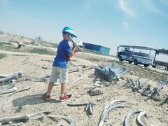 -二连浩特国家地质公园