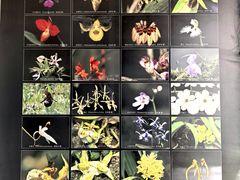 -国家植物园南园