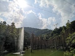 -广州市帽峰山景区