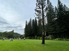 -深圳仙湖植物园