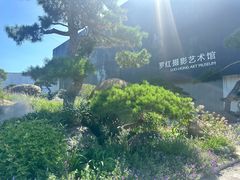 -罗红摄影艺术馆