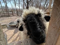 -水上乐园·欢乐世界