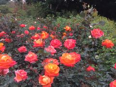 -人民公园(罗湖区)