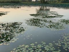 -长兴太湖图影湿地文化园