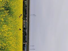 -光明小镇欢乐田园