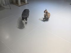 -尚品天城