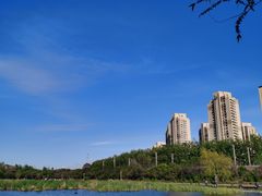 -前关湿地公园