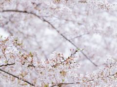 -西北湖绿化广场