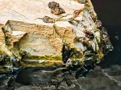 -北京上方山国家森林公园