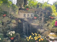 -上海醉白池公园