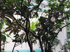 -杨大爹稀豆粉私房菜