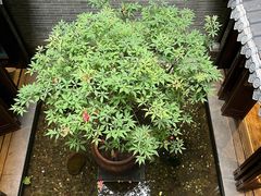 -归觅·西关小姐人文艺术馆(荔枝湾店)