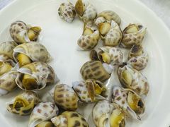 白灼花螺-众味海鲜大排档·活海鲜·潮汕味(南澳店)