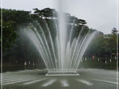 -东莞植物园
