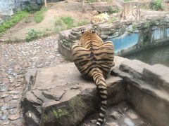 -五龙山野生动物王国