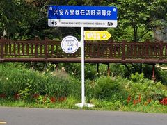 -汤旺河林海奇石景区