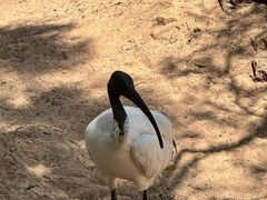 -费瑟代尔野生动物园