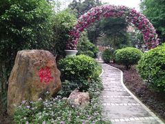 -东风公园