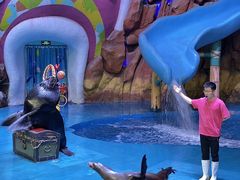 -烟台海昌鲸鲨海洋公园