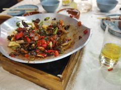 -洞庭家宴·头牌甲鱼(广渠门店)