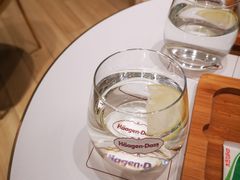 -哈根达斯(龙湖时代天街店)