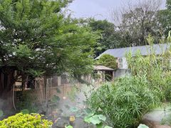-湘力力小院·鱼汤泡饭(枫林路店)