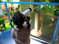 -北京科学中心儿童乐园