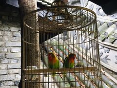 -鱼桥巷·美学川菜