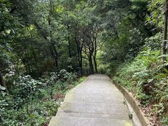 -广州市帽峰山景区