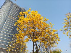 -洲头咀公园