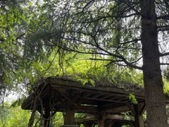 -白塘生态植物园