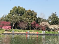 -西溪国家湿地公园