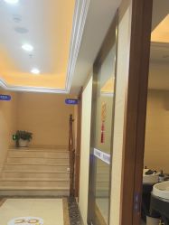 -碧莲盛·不剃发植发