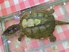 -北京华联购物中心(天通苑店)