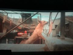 -扬州喜满客国际影城(京华城店)